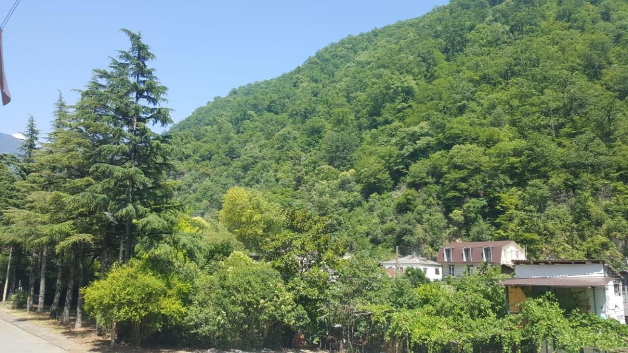 Guest House Gorny Ruchei Gagra Dış mekan fotoğraf