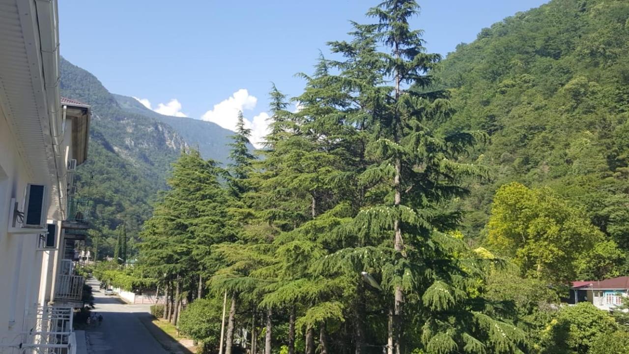 Guest House Gorny Ruchei Gagra Dış mekan fotoğraf